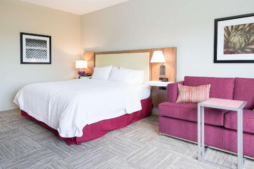 Hampton Inn By Hilton & Suites Fayetteville, Nc image 22